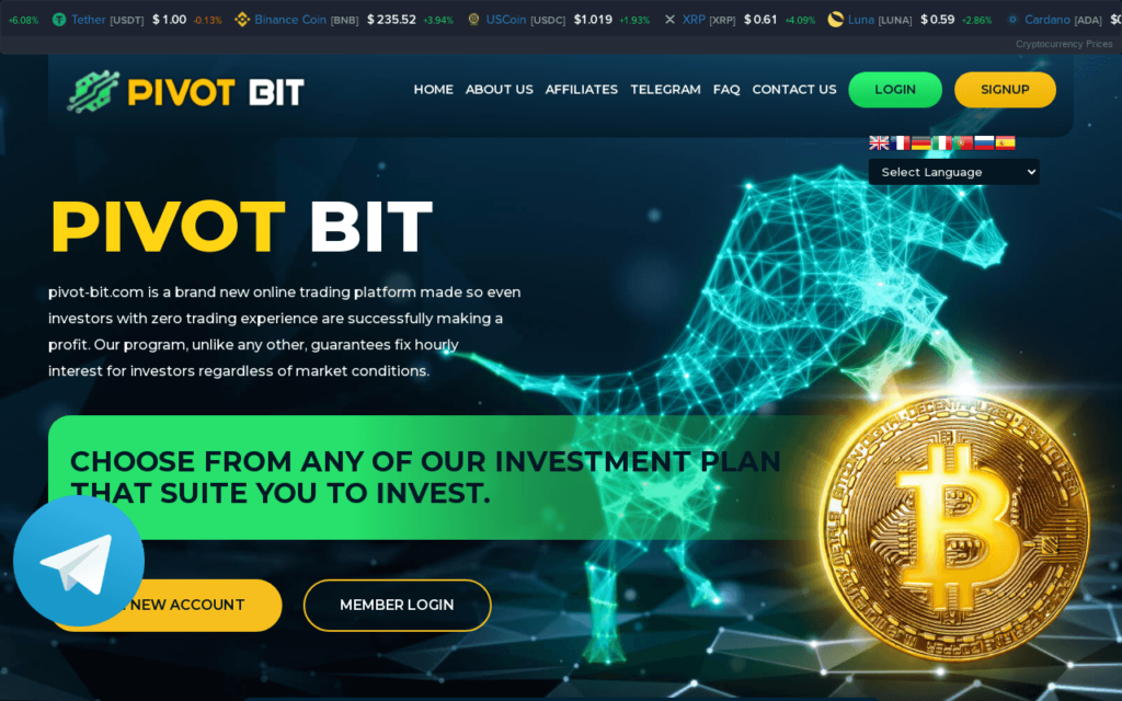Pivot-bit.com.Limited
